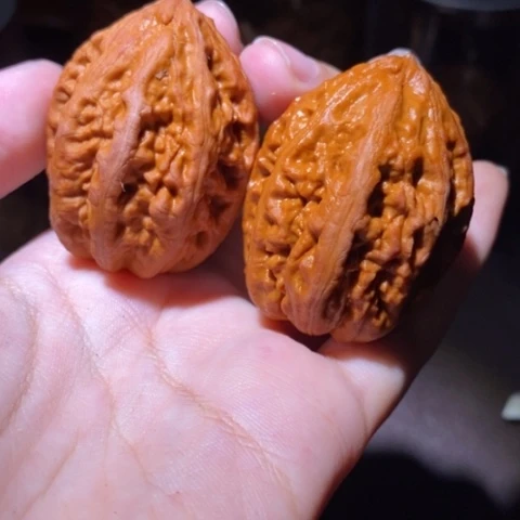 把件文玩核桃东北野生楸子小园 169