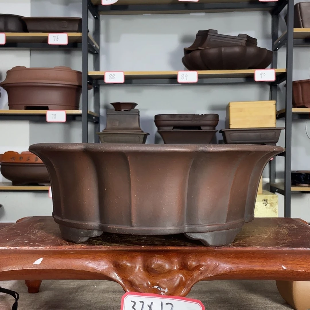 红陶随****@46886757877768788