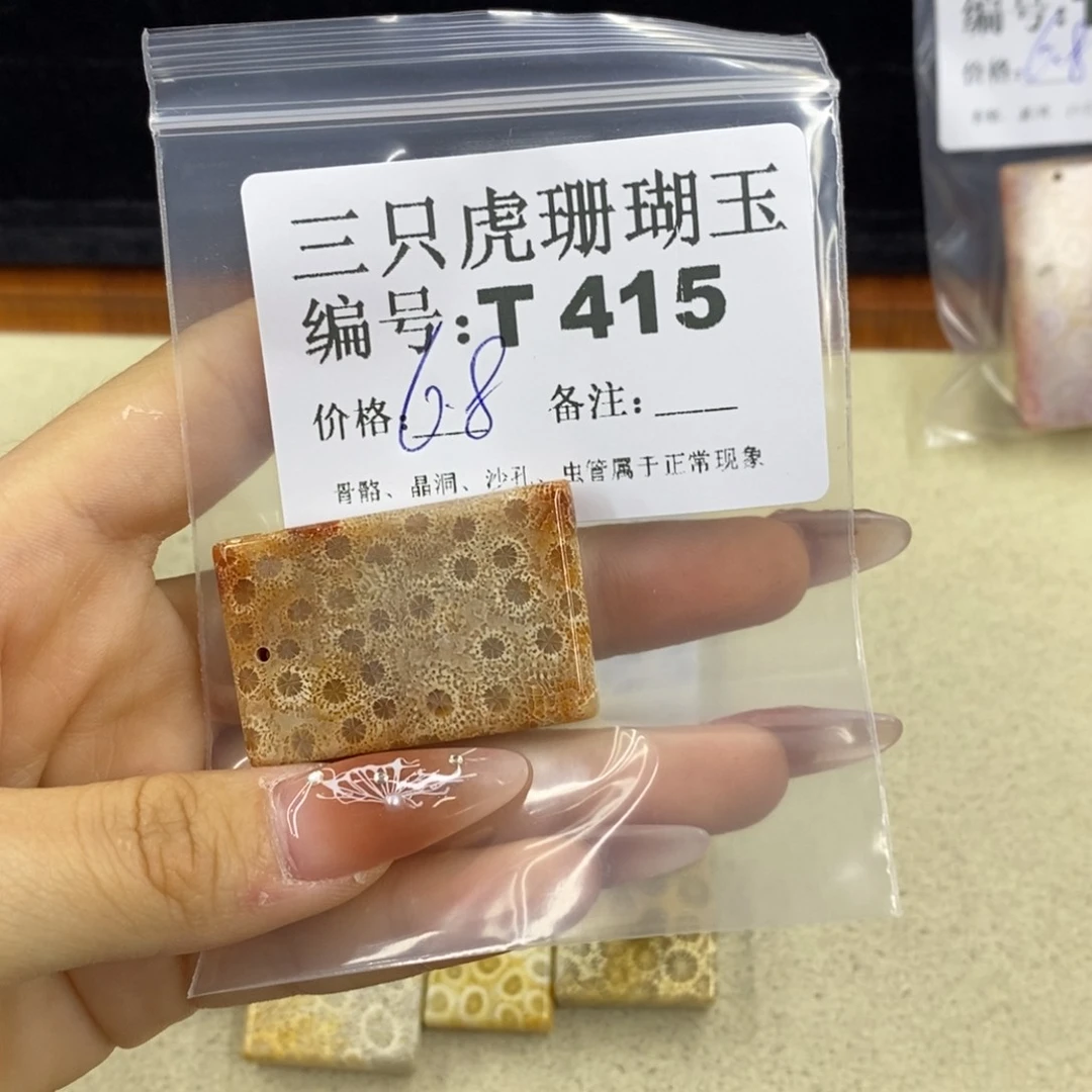 硅化珊瑚（珊瑚玉）1足银镀金镶嵌木**棍