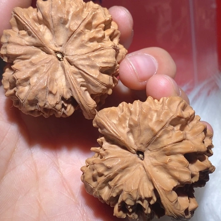 波***⁶吊坠文玩核桃精品课程和专业培训教材编写