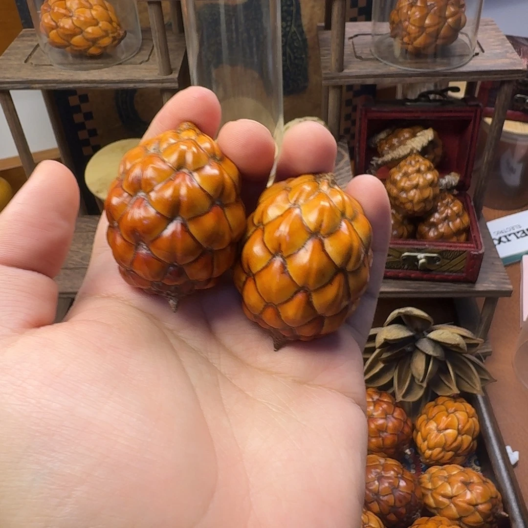 湖***司木粉酒椰果王一对矮桩