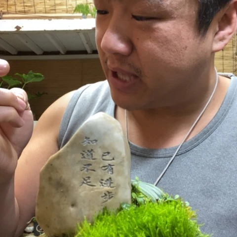 红陶一物一拍所见即所得238