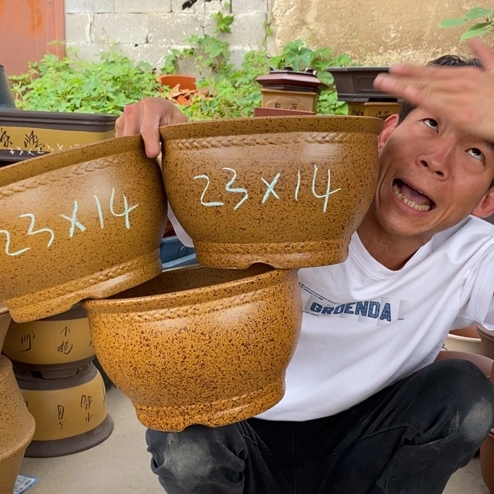 紫砂花盆没有什么不可以的