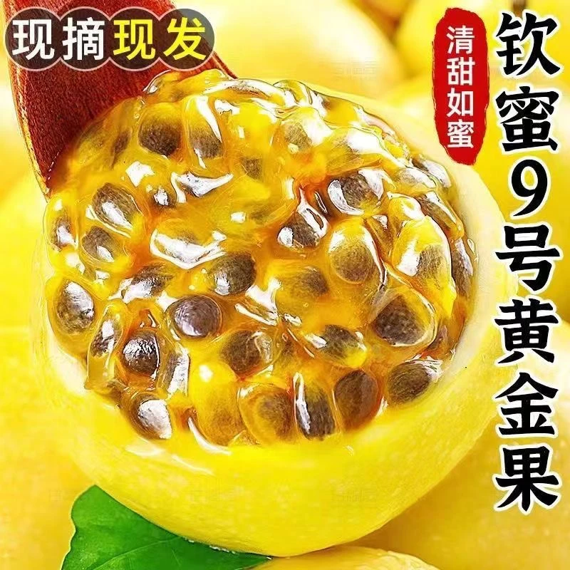 【20枚】正宗钦蜜9号黄金百香果新鲜水果当季现摘甜香果果园直发