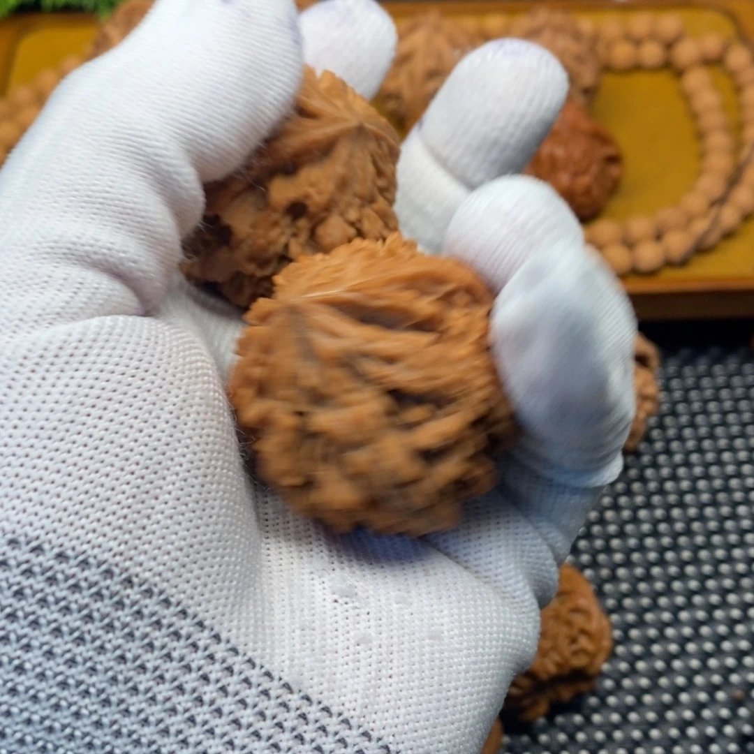 天***命秦岭森林中发现过几