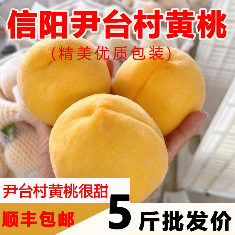 【顺丰】黄金蜜黄桃新鲜水果毛桃子应季现摘大果黄肉蜜桃孕妇水果