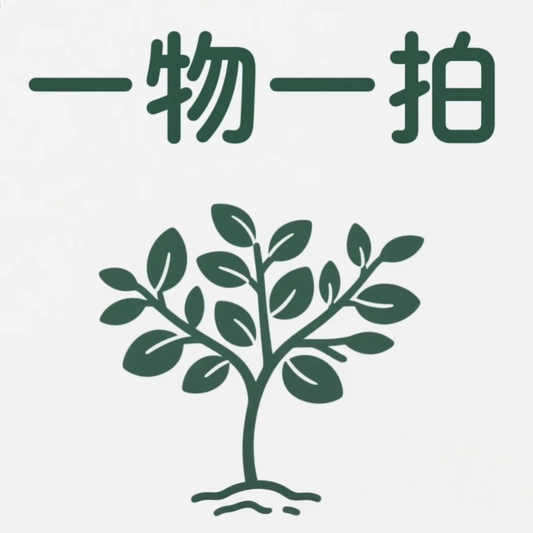 【直播专享现选一物一拍】一树一拍，每天现挖现选