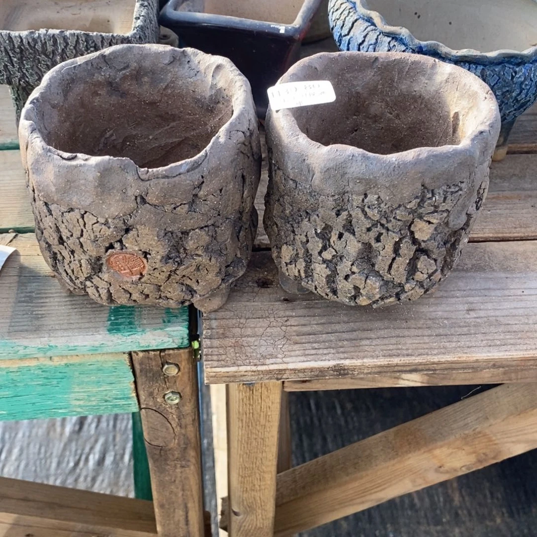 心***动80号多肉盆两个组合