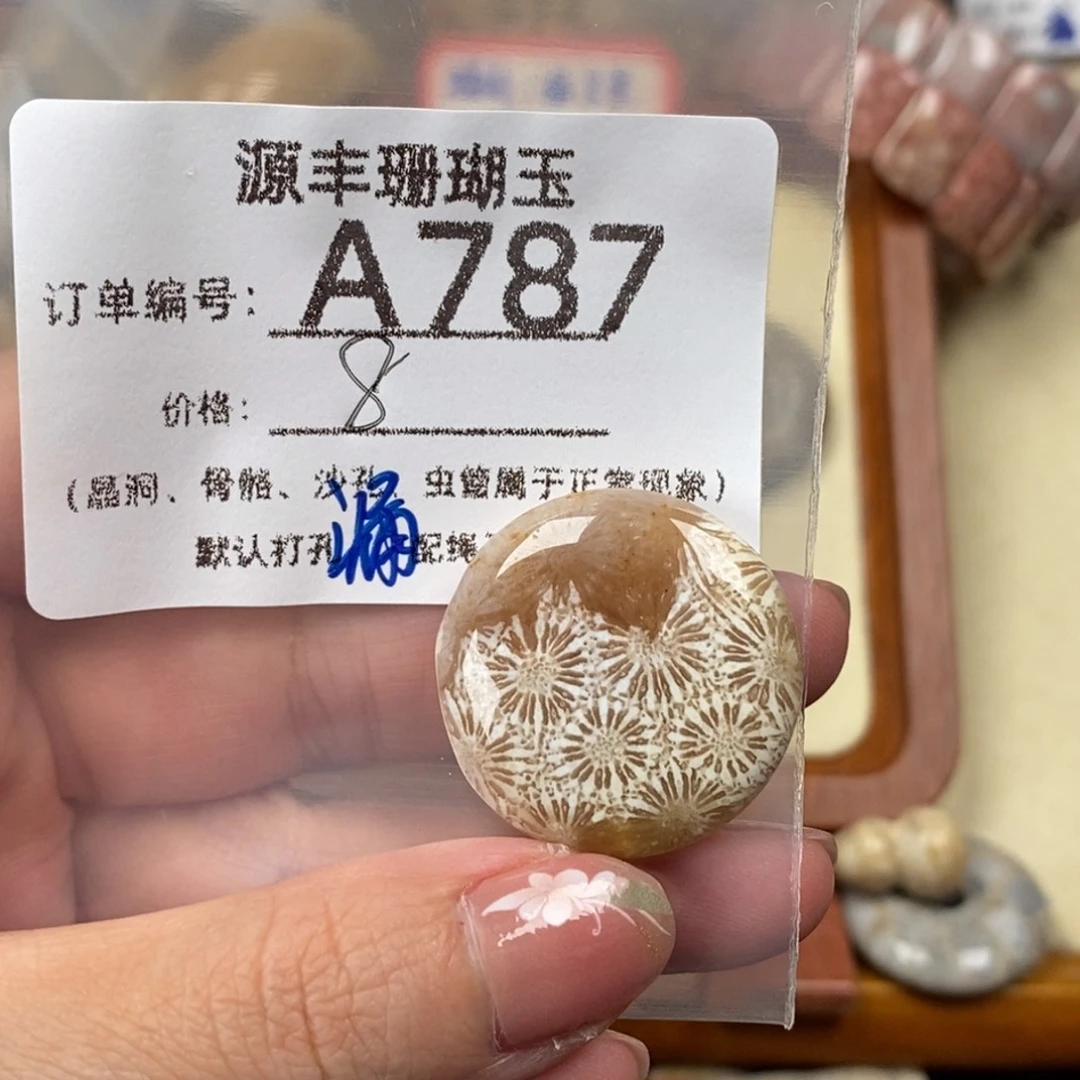 画***硅化玉未镶嵌颈饰