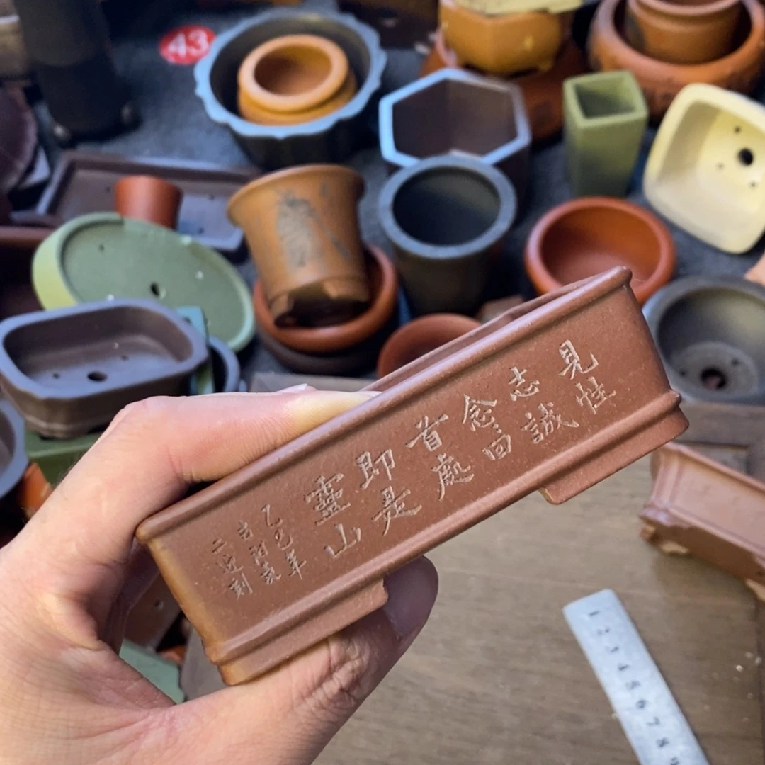 vvvvvvvvvvvvvvvv瑕疵