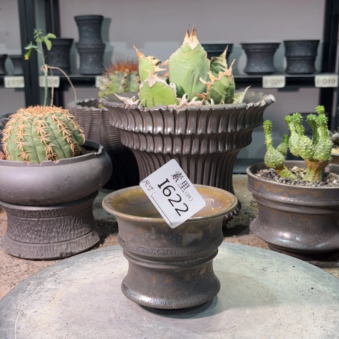 景德镇手工素里内口10.5高8.5