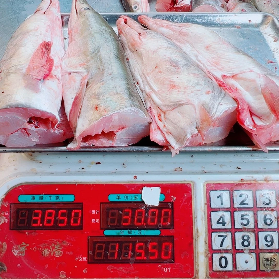 中国大陆四个鳗鱼头