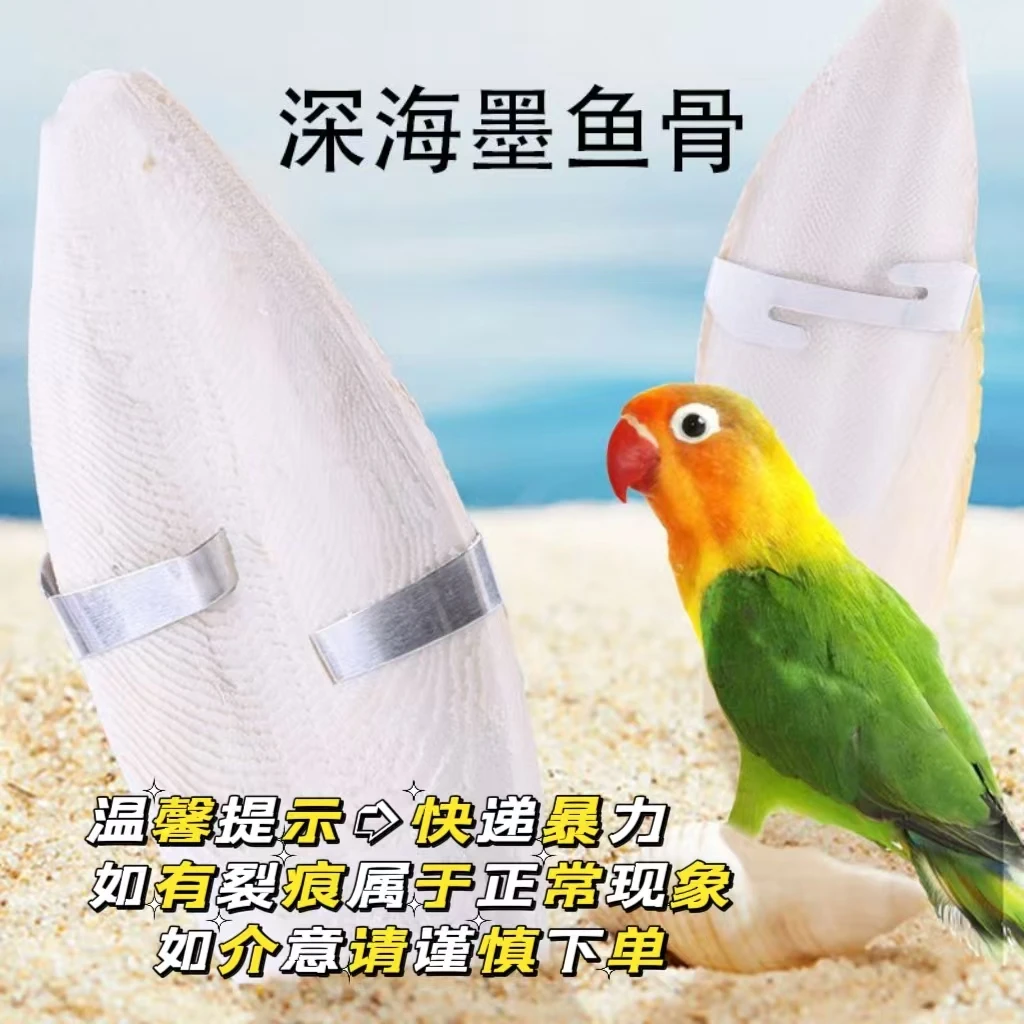 鸟用鹦鹉 墨鱼骨  打磨精修 包邮 鹦鹉玩具磨嘴精品