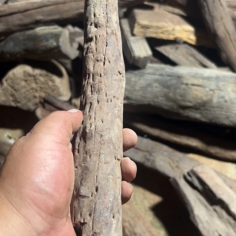 紫檀木类家具我*风