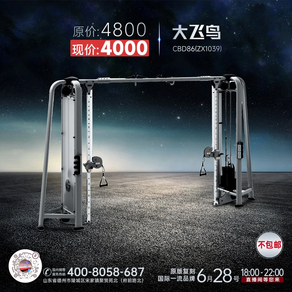 健身器材 大飞鸟 500定金