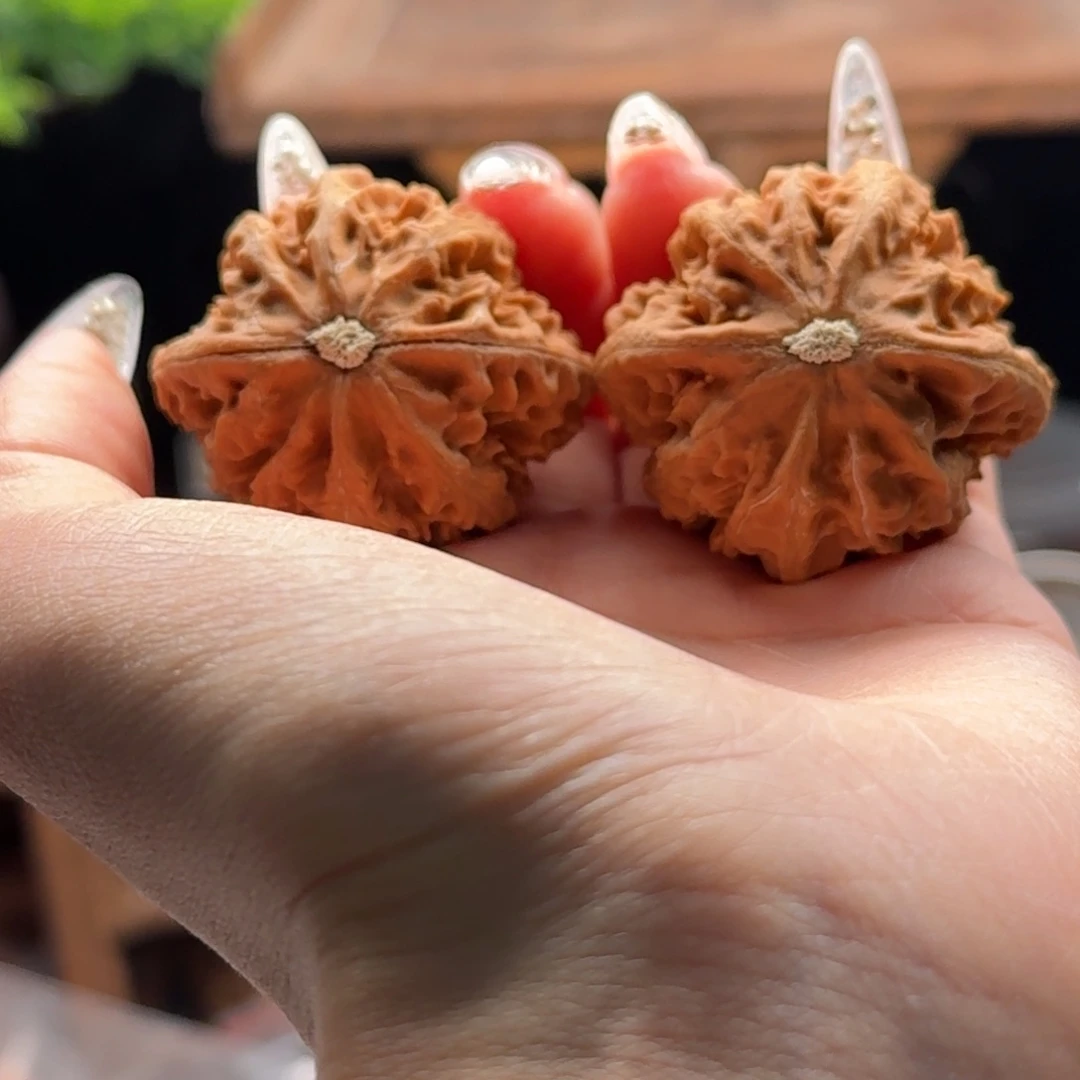 文玩核桃把件关东木子楸百核158裂了