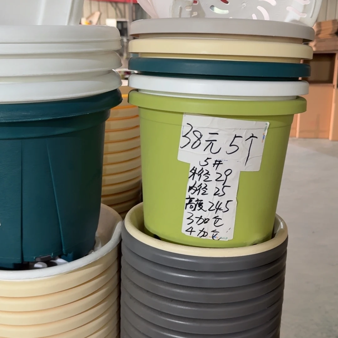 四季5#口径29无拖果绿5个
