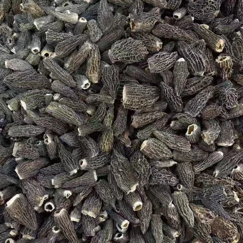 高原甄选特产 光帽羊肚菌