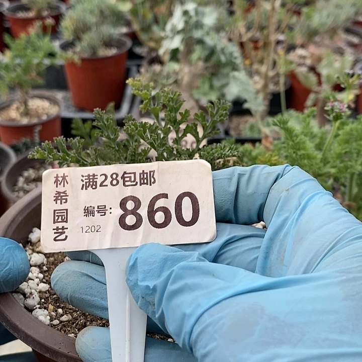 860一一一一一一一