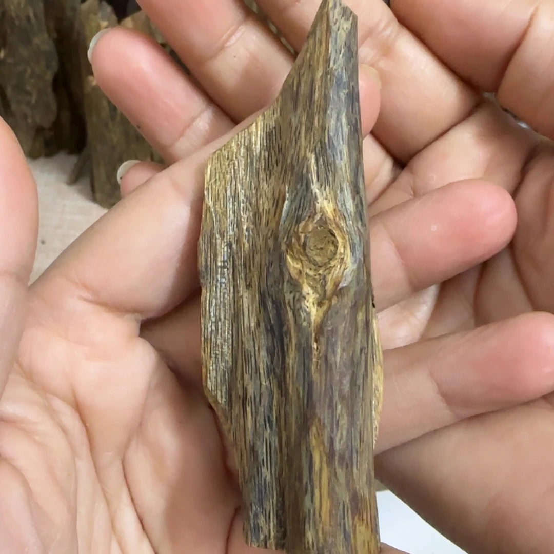 沉香沉香碎屑奇楠沉香熏香白棋虫漏15.5克