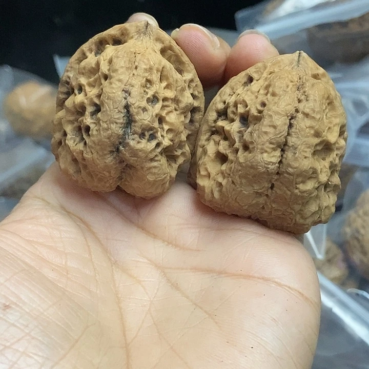 木质类云南铁核桃+76
