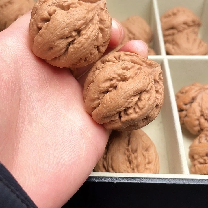 洪****霸王龙核桃尺寸40