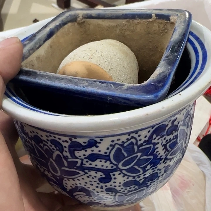 楚***风香榧木fhghggvgggg