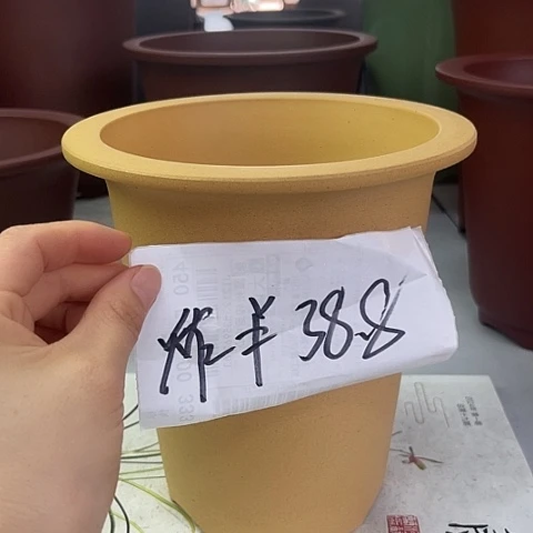 紫砂28558558755585588