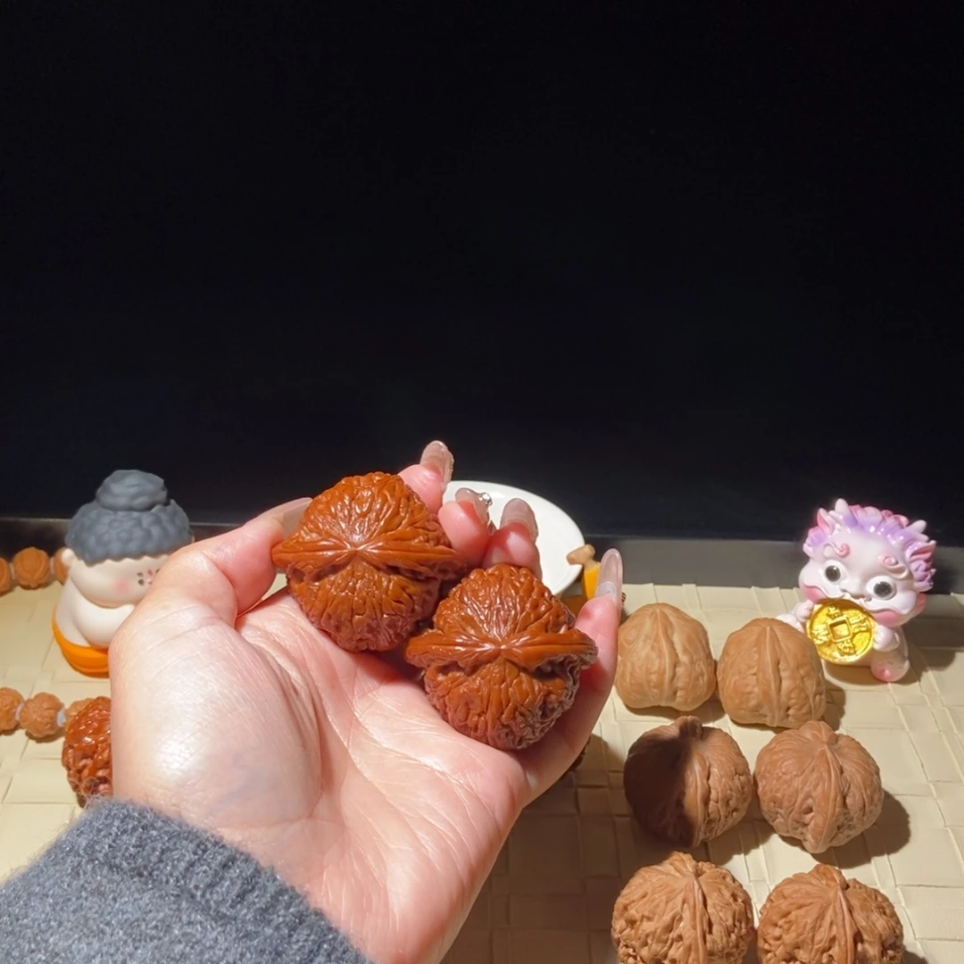 晚***～菩提籽类白狮子43