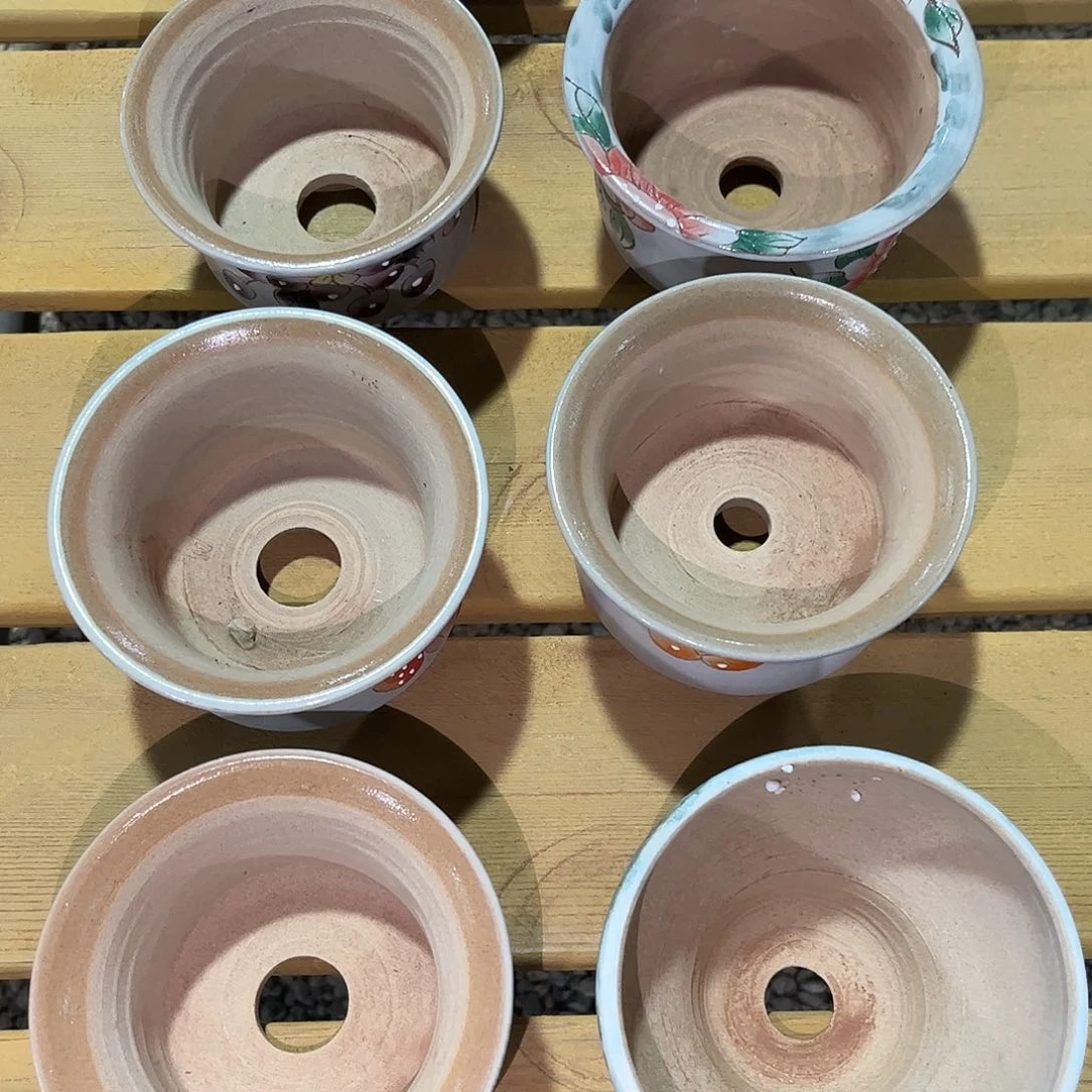 幸****7寄养链接的，我们