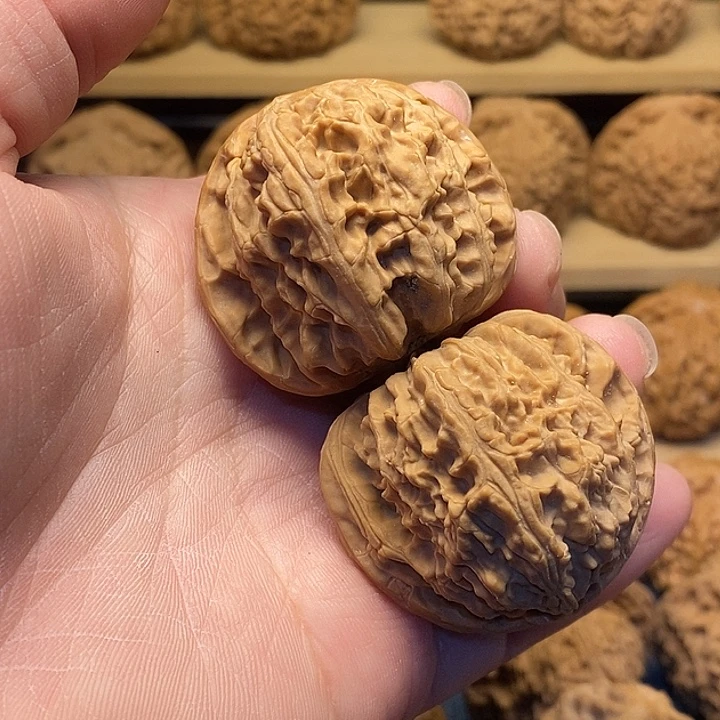 核桃42白狮子福利核桃