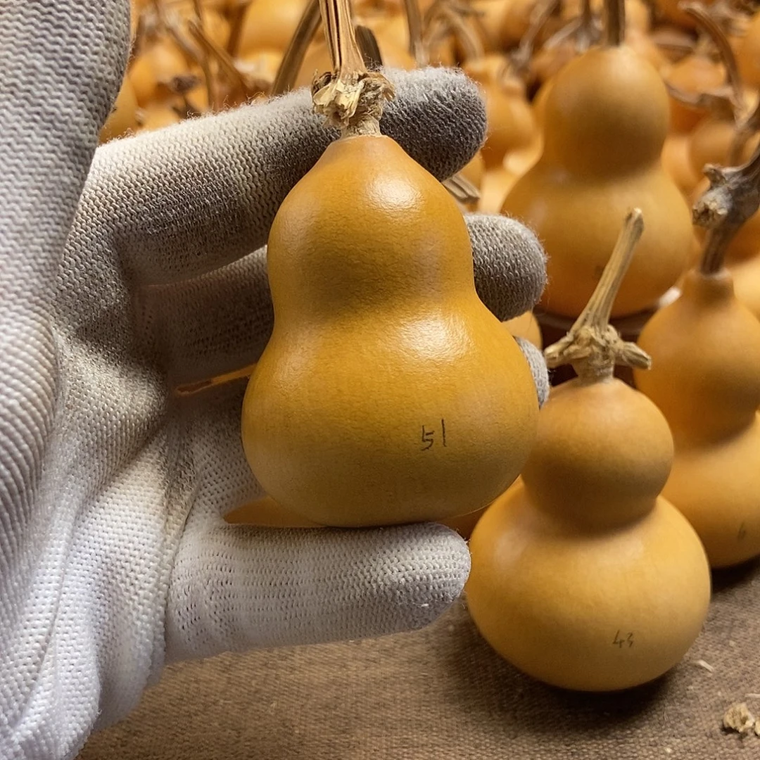 文玩葫芦 完美主义者 慎拍51