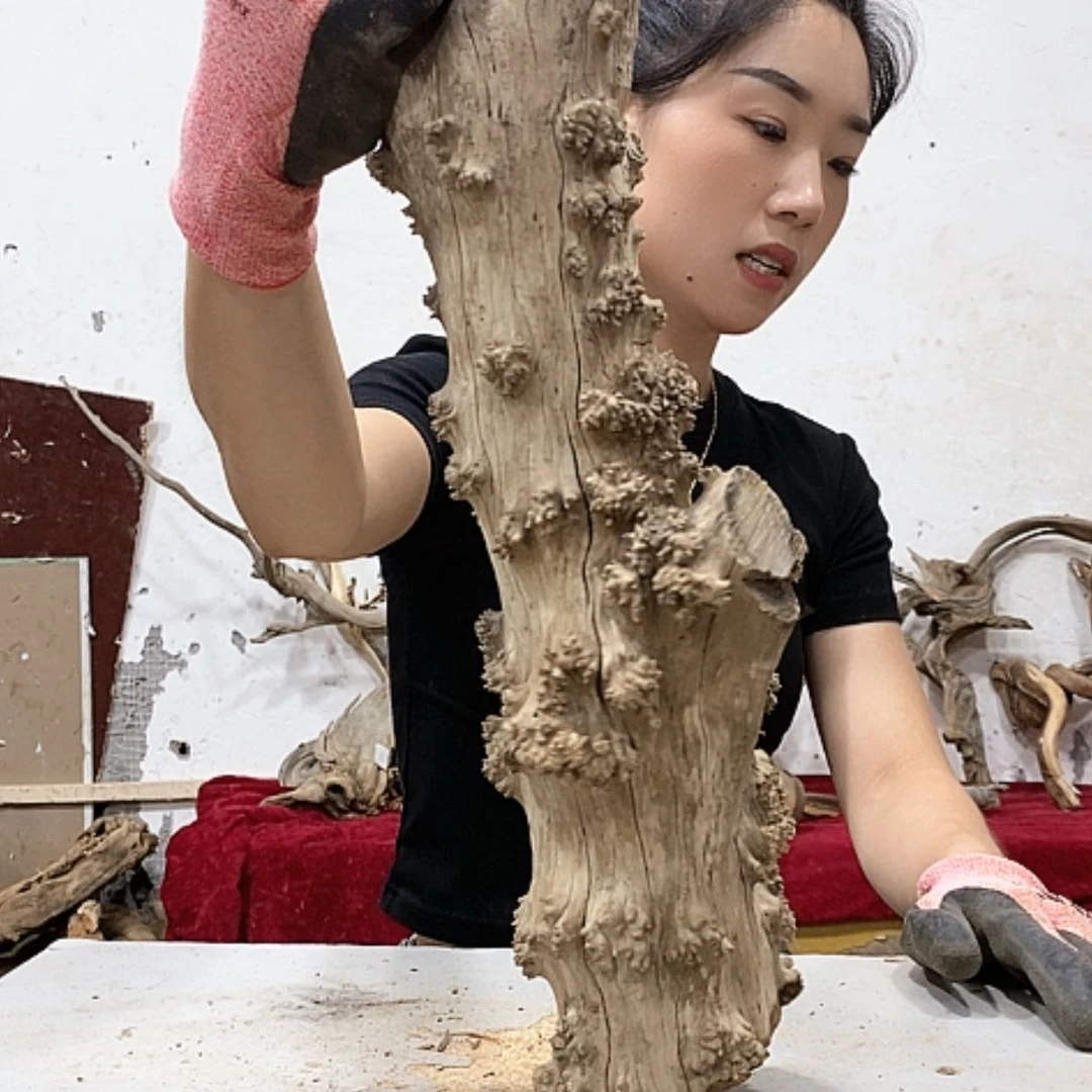 【闪购商品】柏木艺*阁我们都是好孩子