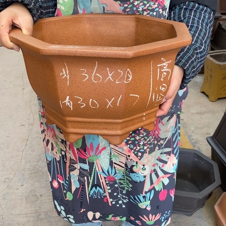 紫砂花盆自己的号主任