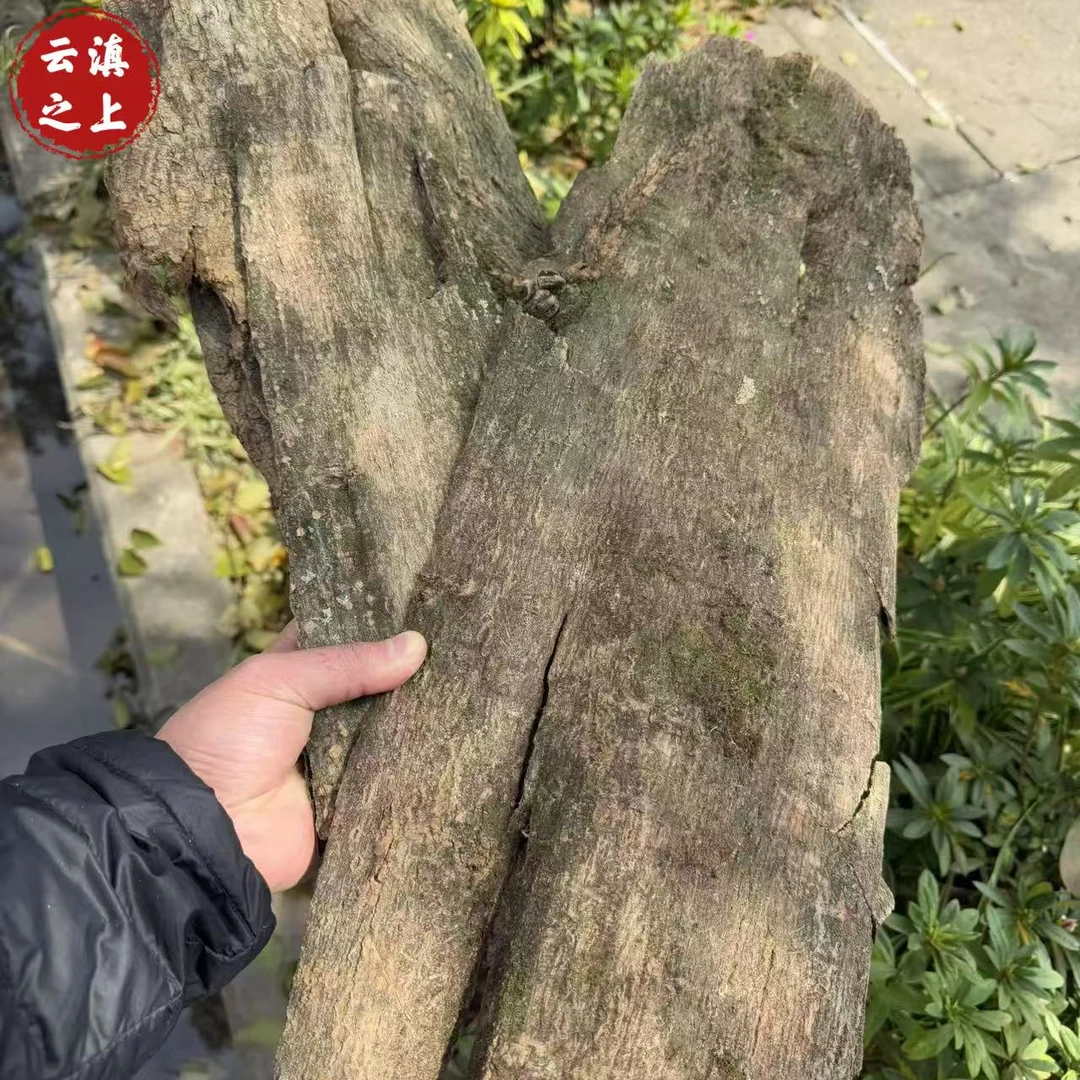 【阿豪优选】 杜仲