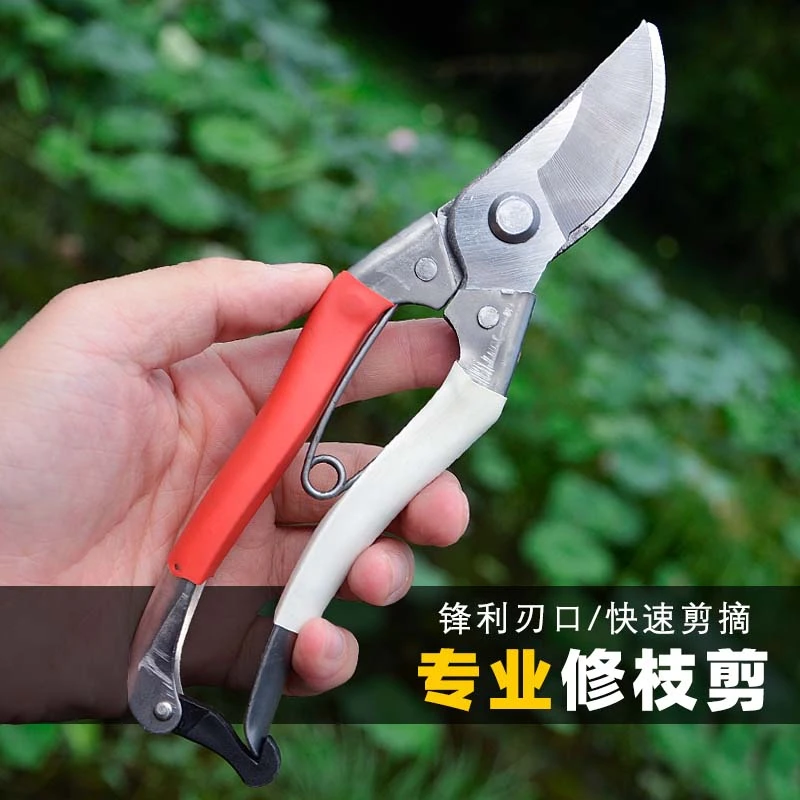 剪树枝剪刀专用花剪园艺园林修枝园丁剪嫁接强力采摘省力修水果树