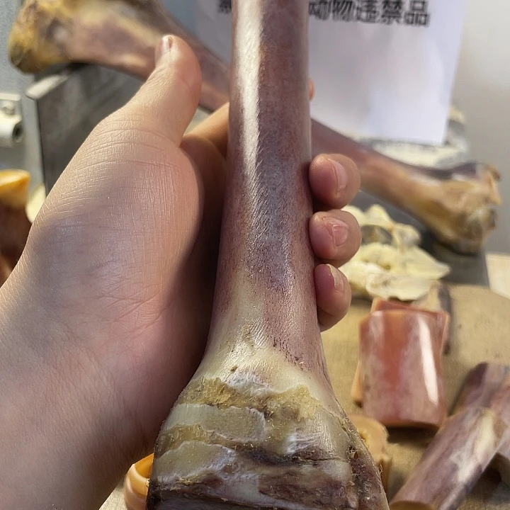 把件驼骨整骨，xx1
