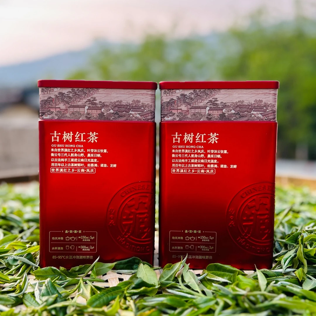 2025年头春荒野古树晒红新茶高山深山高品质正品厂家直销试喝装