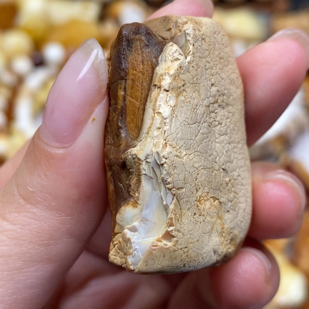 郎***爷定制琥珀未镶嵌蜜蜡