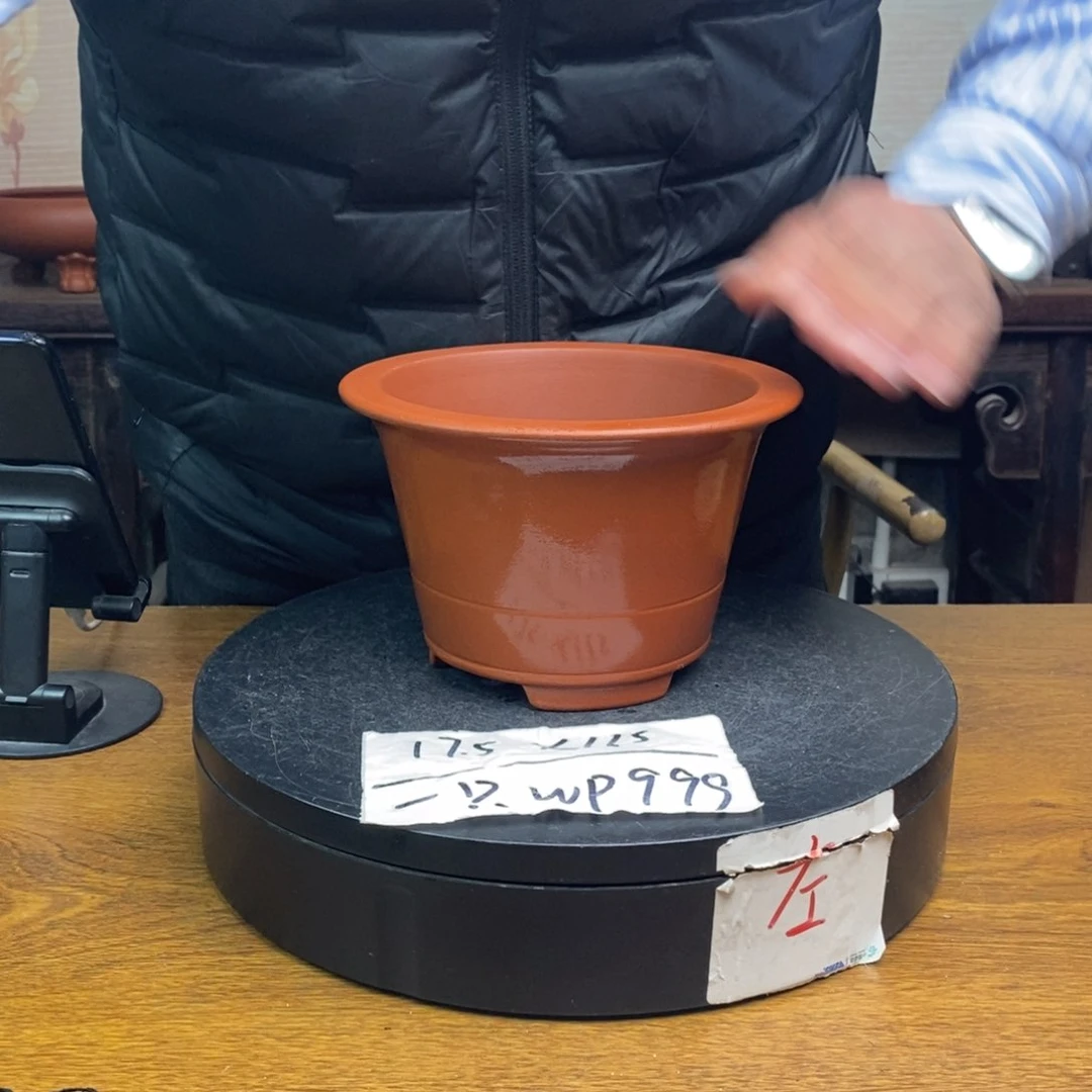 紫砂货号一只WP999