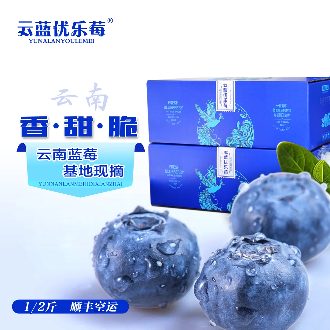 【正宗花香蓝莓】云南蓝莓新鲜蓝莓鲜果现摘孕妇水果【食品级内包装】