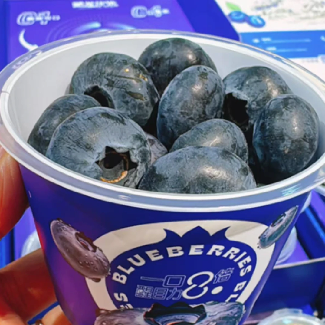 云南顺发蓝莓22mm16.8元一杯95克云南蓝莓云南省丽江市