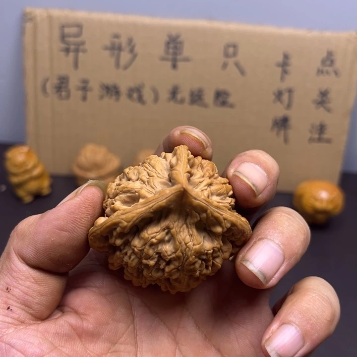 魔***天菩提籽类官帽大两棱半