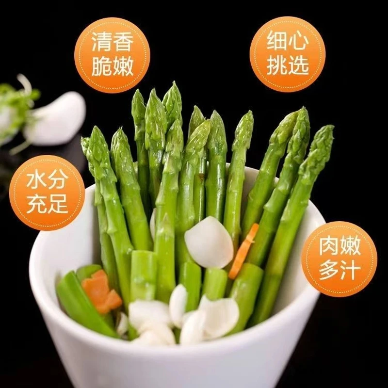 吕四现采现发全株可食18cm精品芦笋头1500g/份产地发货