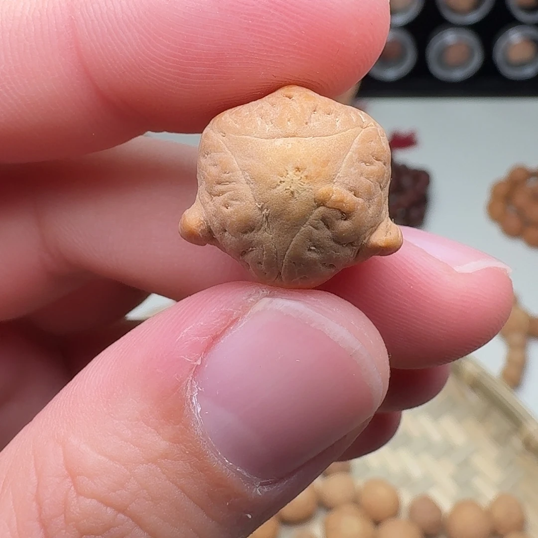 凤眼菩提吊坠龙爪三通