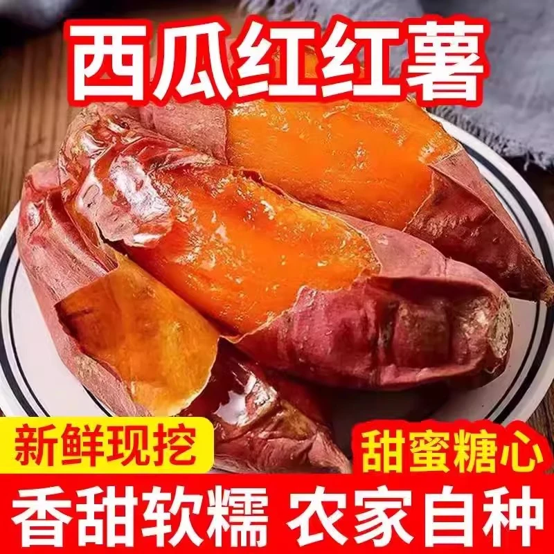 西瓜红蜜薯糖心流油番薯现挖蜜薯应季农家种地瓜新鲜水果整箱红薯