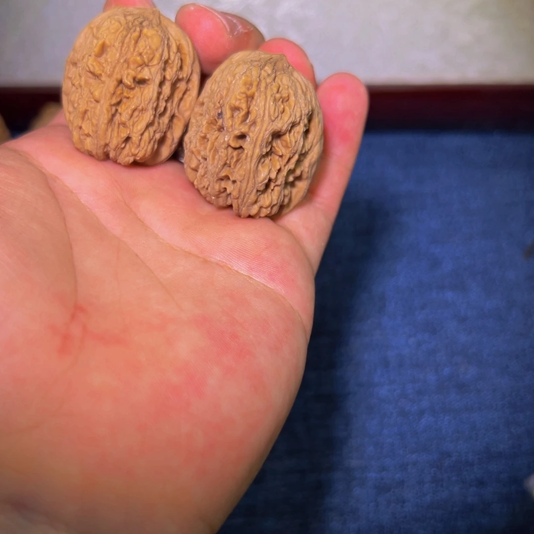 32全品大肚西北将军40克