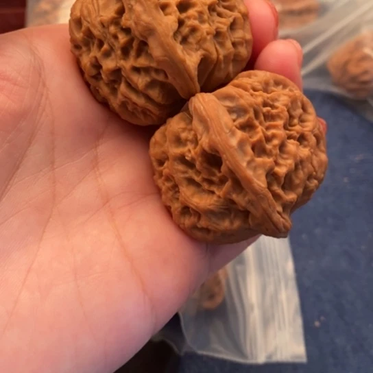 【闪购商品】吊坠文玩核桃•****朵南疆