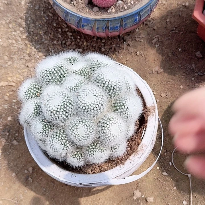ℒ***࿐哈哈哈哈哈哈哈哈哈哈
