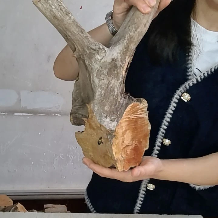 ****٭木太行崖柏摆件摆件摆件